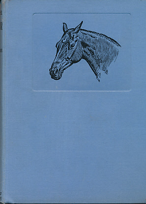 Bild des Verkufers fr My Horse Warrior zum Verkauf von Barter Books Ltd