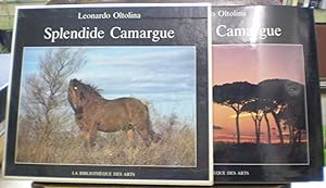 Splendide Camargue