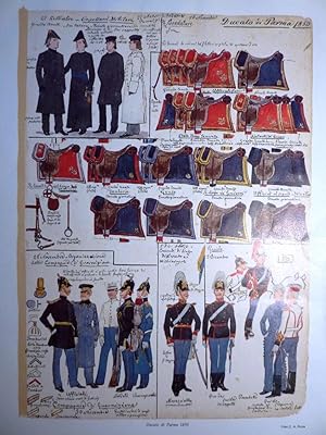 "Militaria, Uniformi Ducato di Parma 1850 - Stampa"