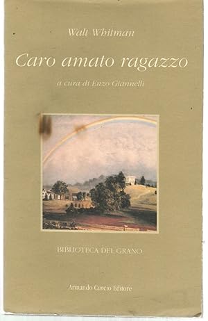 Caro amato ragazzo. Lettere d'amore a un giovane vetturino 1868-1880