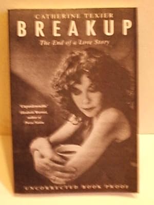 Breakup - the End of a Love Story