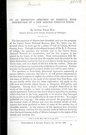 Imagen del vendedor de ON AN IMPORTANT SPECIMEN OF EDESTUS; WITH DESCRIPTION OF A NEW SPECIES, EDESTUS MIRUS. a la venta por Legacy Books