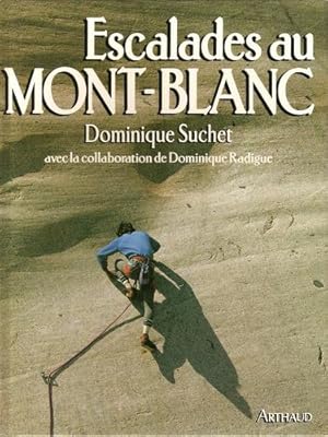 ESCALADES AU MONT BLANC