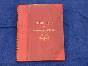 Game-Birds and Shooting Sketches