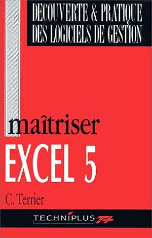 Imagen del vendedor de Matriser Excel 5 pour Windows a la venta por JLG_livres anciens et modernes