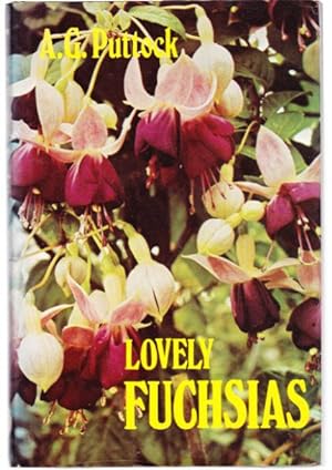 Lovely Fuchsias