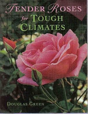 Tender Roses for Tough Climates