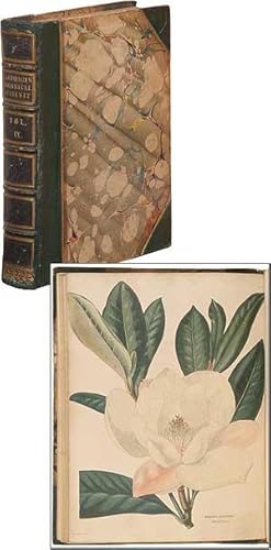 Bild des Verkufers fr The Botanical Cabinet: consisting of Coloured Delineations of Plants, from all Countries, with a short Account of each, Directions for Management &c. &c. (Volume IX) zum Verkauf von Between the Covers-Rare Books, Inc. ABAA