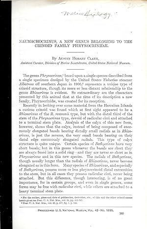 Immagine del venditore per NAUMACHOCRINUS, A NEW GENUS BELONGING TO THE CRINOID FAMILY PHRYNOCRINIDAE. venduto da Legacy Books