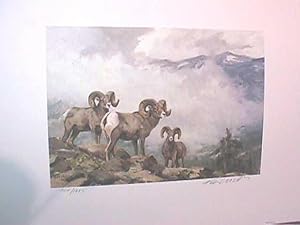 "American Elk (Wapiti)" - 1984 Conservation Print ** SIGNED LIMITED EDITION**