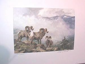 "Big Horn Sheep" - 1986 Conservation Print ** SIGNED LIMITED EDITION**