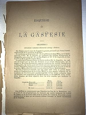 Seller image for Esquisse sur la Gaspsie for sale by 2Wakefield