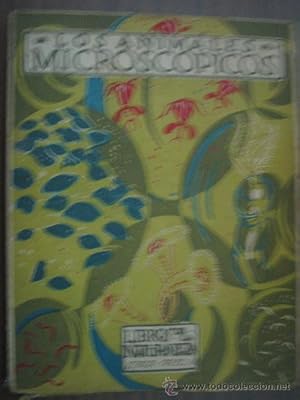 LOS ANIMALES MICROSCÓPICOS