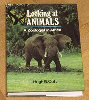 Looking at Animals - A Zoologist in Africa