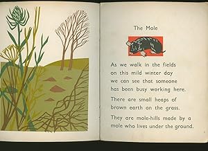 Seller image for The Mole for sale by Little Stour Books PBFA Member