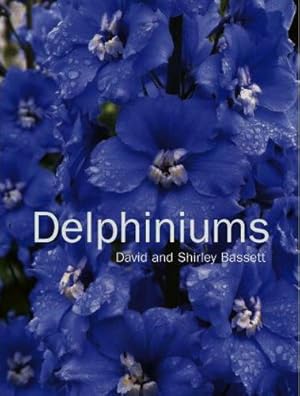 Delphiniums