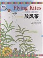 Immagine del venditore per kite (paperback)(Chinese Edition) venduto da liu xing
