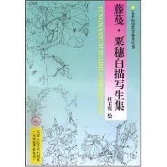 Imagen del vendedor de vine corn ear line drawing painting set (paperback)(Chinese Edition) a la venta por liu xing