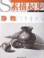 Bild des Verkufers fr sketch started: Still Life (Paperback)(Chinese Edition) zum Verkauf von liu xing