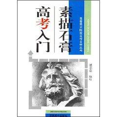 Seller image for sketching plaster entrance Getting Started (paperback)(Chinese Edition) for sale by liu xing