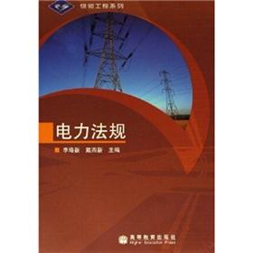 Immagine del venditore per Electricity Laws / silver Link Engineering Series (Paperback)(Chinese Edition) venduto da liu xing