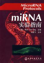 Imagen del vendedor de miRNA Laboratory Manual (Paperback)(Chinese Edition) a la venta por liu xing