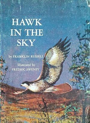 Hawk in the Sky