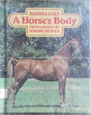 A Horse's Body