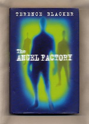 Imagen del vendedor de The Angel Factory a la venta por Little Stour Books PBFA Member