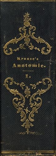 Handbuch der menschlichen Anatomie 1. Band, 1. + 2. Teil