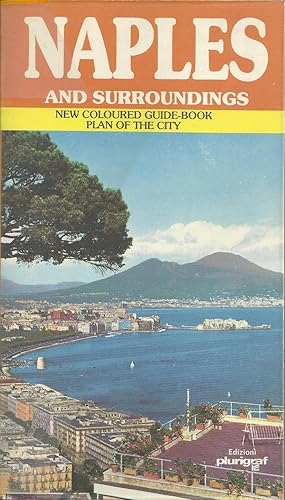 NAPLES AND SURROUNDINGS: New coloured guide-book Plan of the city