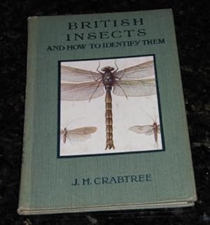 British Insects and How to Identify Them
