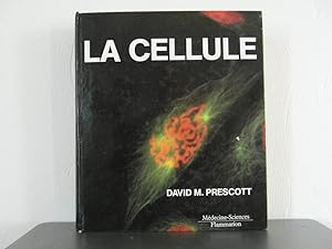 La Cellule