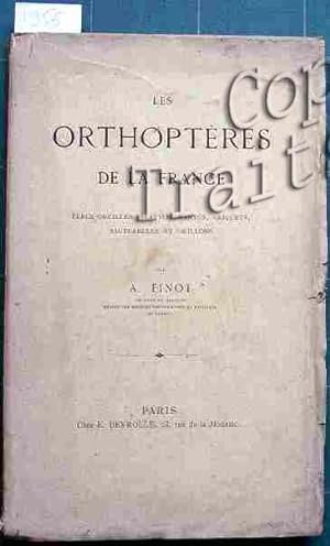 Les orthoptères de la France, perce-oreilles, blattes, Mantes, criquets, sauterelles et grillons.