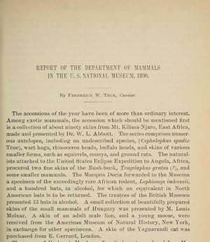 Immagine del venditore per Report On The Department Of Mammals In The U. S. National Museum, 1890 venduto da Legacy Books II
