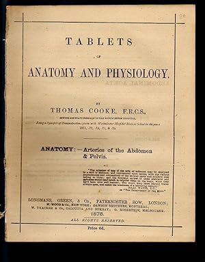 Tablets of Anatomy and Physiology. Arteries of the Abdomen & Pelvis.