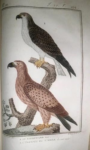 Imagen del vendedor de Histoire Naturelle des Oiseaux. Tome Premier. a la venta por Librera Anticuaria Antonio Mateos