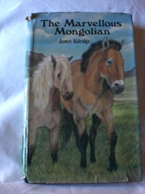 The Marvellous Mongolian