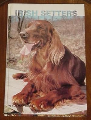 Irish Setters