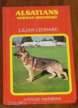 Alsatians - German Shepherd