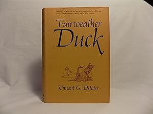 Fairweather Duck