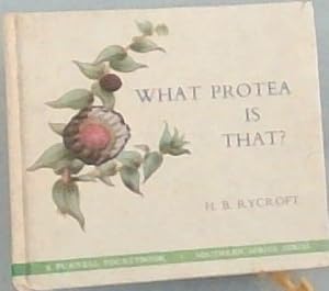 What Protea Is That ?