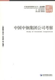 Imagen del vendedor de Sinosteel Corporation study [Paperback](Chinese Edition) a la venta por liu xing