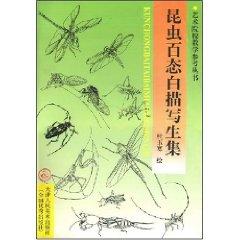 Imagen del vendedor de insect attitudes of line drawing sketch set [Paperback](Chinese Edition) a la venta por liu xing