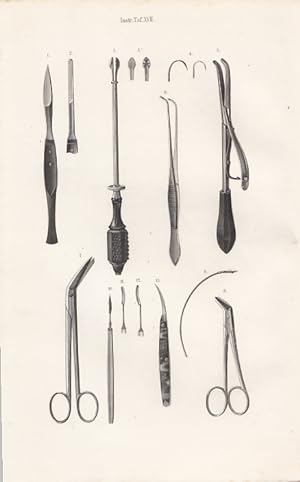 Instrumente zur Gaumennaht und zum Sehnenschnitt. Original - Stahlstich von Greb, 1860, 23,7 cm x...