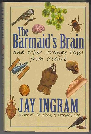 Seller image for The Barmaid's Brain : And Other Strange Tales from Science for sale by Riverwash Books (IOBA)