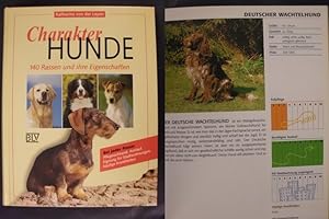 Bild des Verkufers fr Charakter Hunde - 140 Rassen und ihre Eigenschaften zum Verkauf von Buchantiquariat Uwe Sticht, Einzelunter.