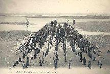 Image du vendeur pour Carte Postale Ancienne - 17 - BERCK-PLAGE. Parc aux Moules. mis en vente par JOIE DE LIRE