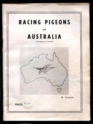 Racing Pigeons in Australia