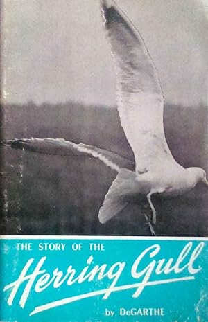 The Story of the Herring Gull